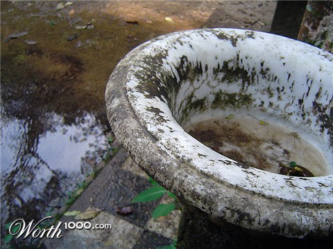 Photography by pedronurmi