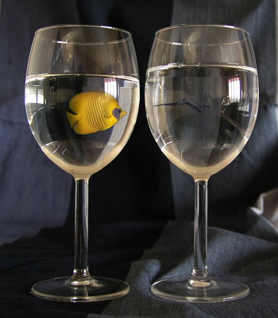 Photoshop Design by resquin for DesignCrowd (Community Contests) | Design #9084477