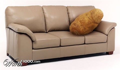 Photoshop Design by lilhorseebabee