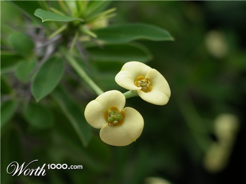 Photography by julianneovie