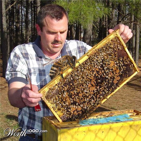 Photoshop Design by Fedorov