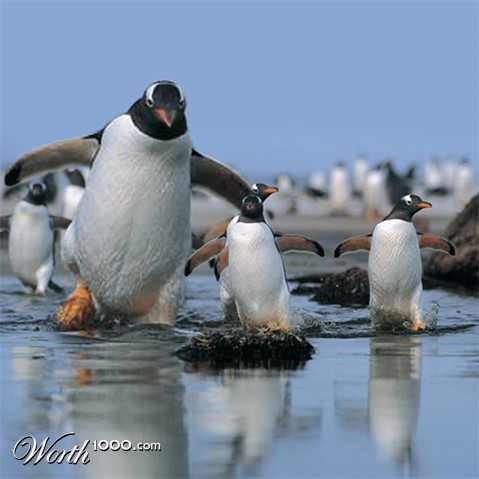 Photoshop Design by godzillatemple