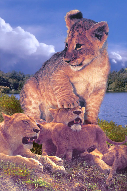 Photoshop Design by cameon for DesignCrowd (Community Contests) | Design #9089760