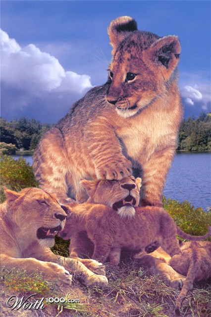 Photoshop Design by cameon