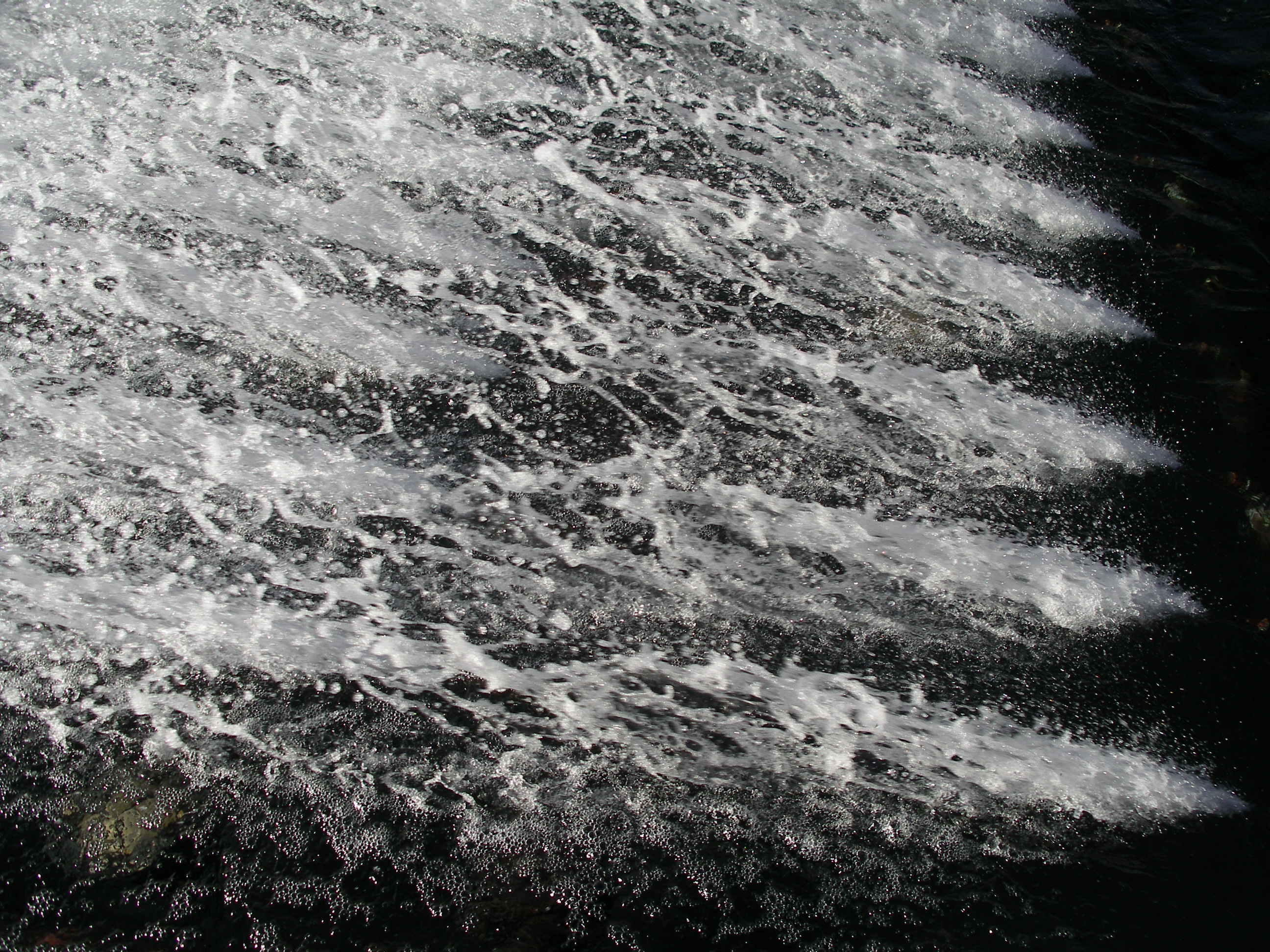 Fotografía por julianneovie para DesignCrowd (Community Contests) | Diseño #9088176