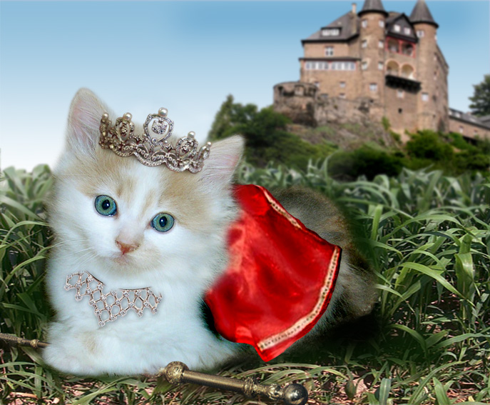 Photoshop Design by Kwyjibo78 for DesignCrowd (Community Contests) | Design #9087358