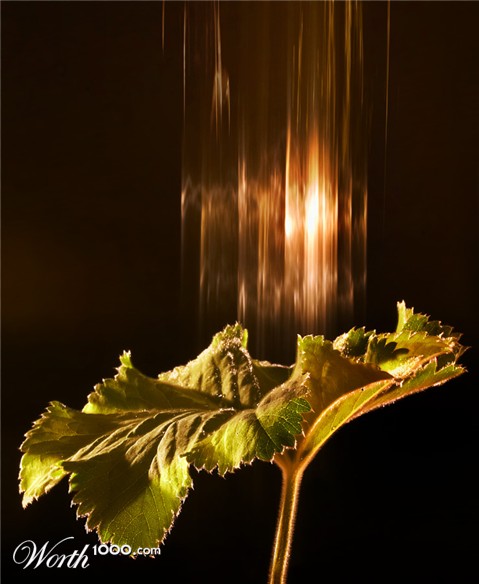 Photography by branie