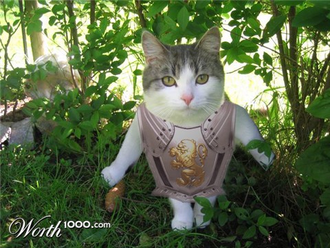 Photoshop Design by dirk81