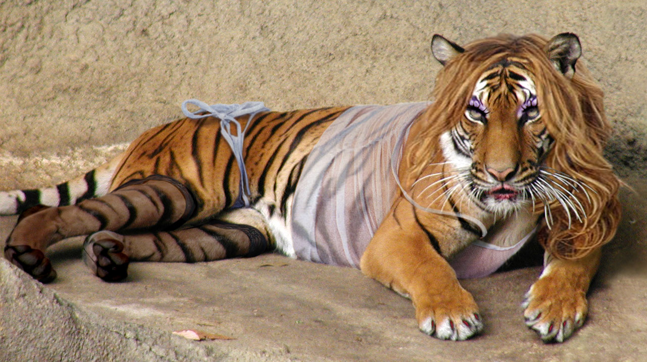 Design Photoshop par tylart pour DesignCrowd (Community Contests) | Design #9087374