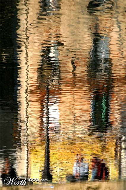 Photography by glaurent