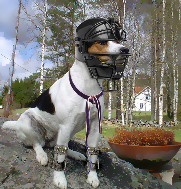 Photoshop Design by Apemolecule for DesignCrowd (Community Contests) | Design #9087461