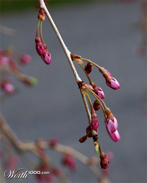 Photography by jachang