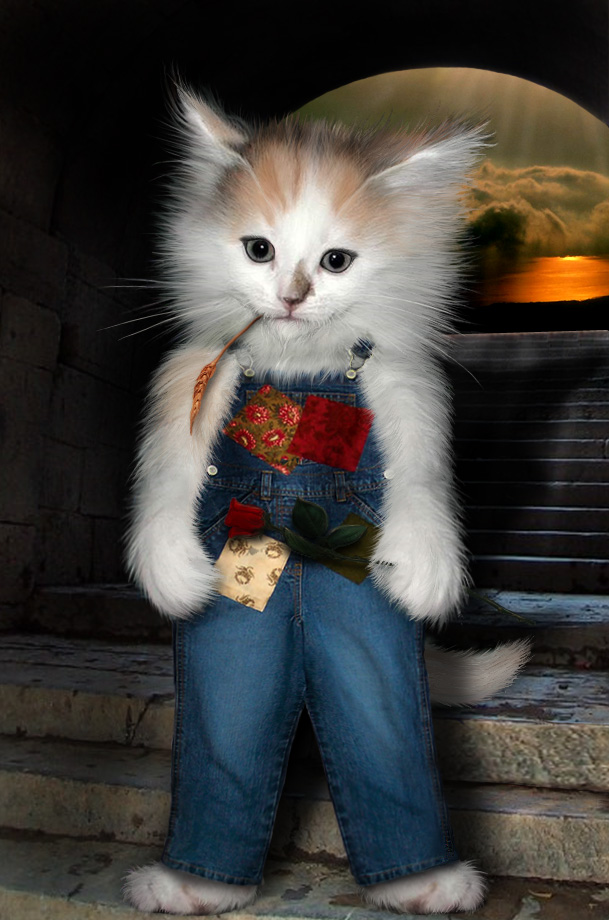 Photoshop Design by toadclipper for DesignCrowd (Community Contests) | Design #9087433