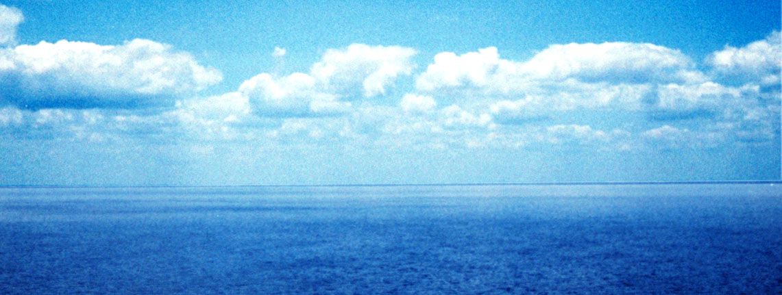 Photographie par trumpy303 pour DesignCrowd (Community Contests) | Design #9088187