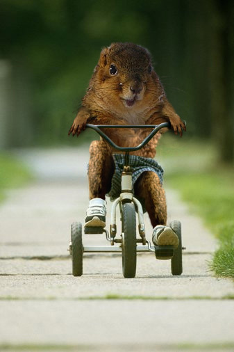 Design Photoshop par Pioner pour DesignCrowd (Community Contests) | Design #9087467