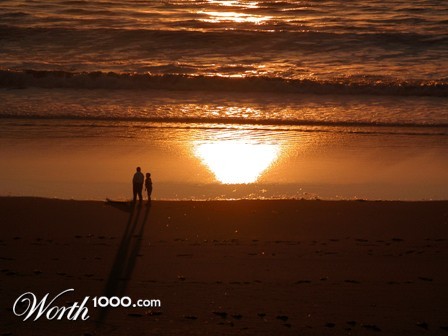 Photography by jester11221122