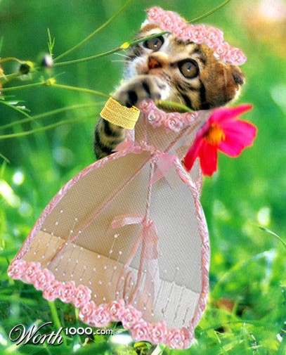 Photoshop Design by kousalya