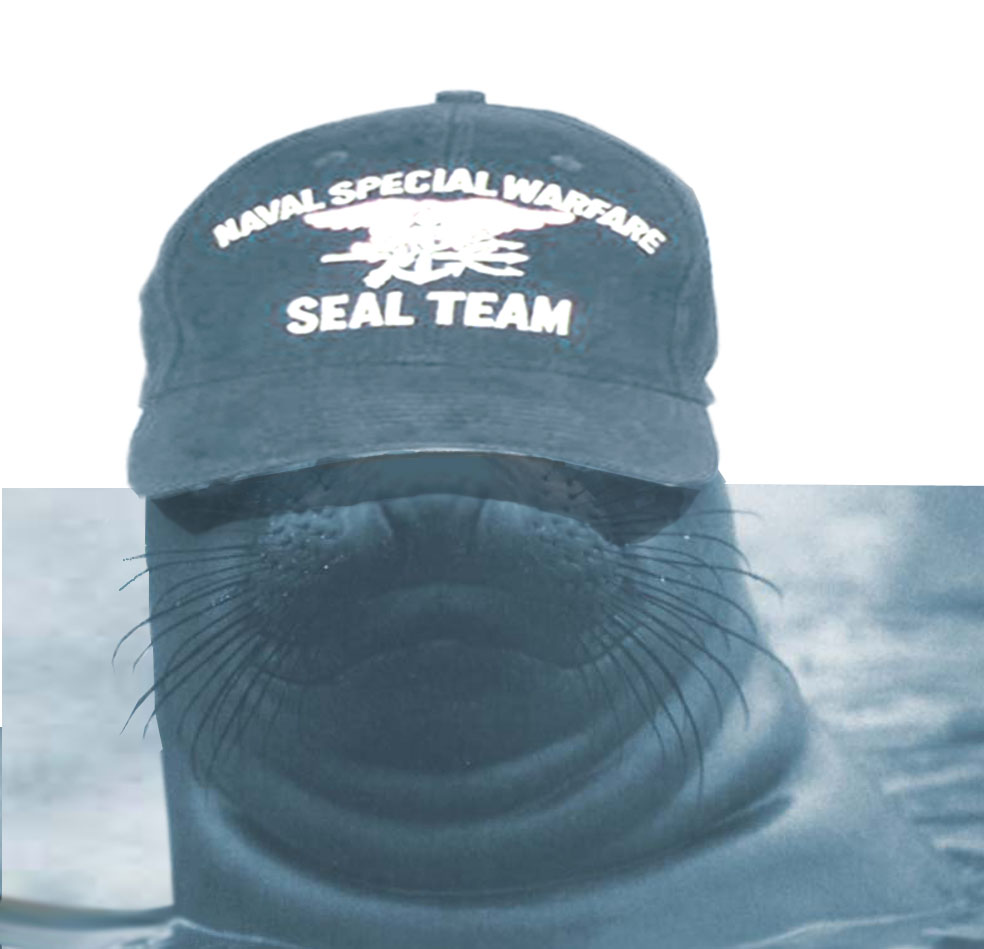 Photoshop Design by borg05 for DesignCrowd (Community Contests) | Design #9087494