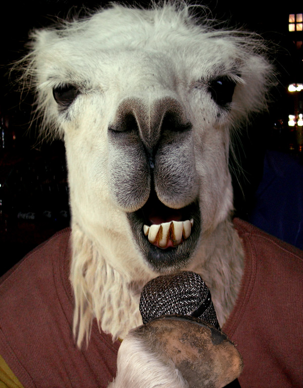 Photoshop Design by asmorod for DesignCrowd (Community Contests) | Design #9087473