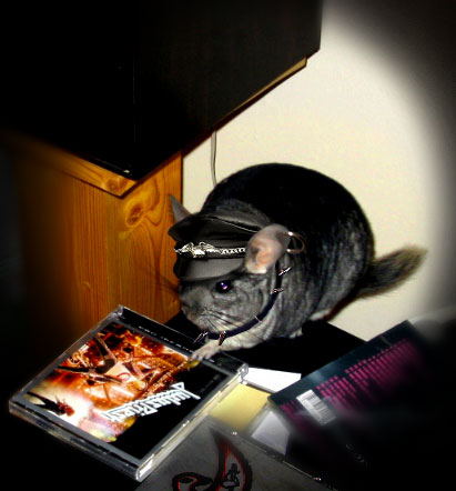 Photoshop-Design von VikaValter für DesignCrowd (Community Contests) | Design #9087499