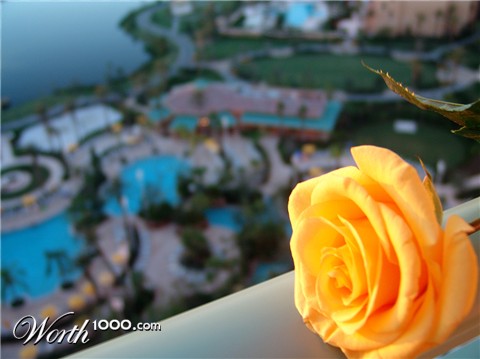 Photography by FRWalters