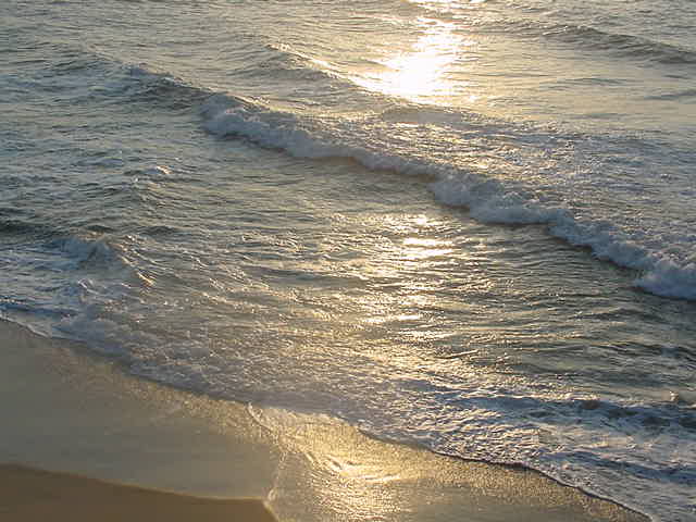 Fotografie von tweetybirdfan222 für DesignCrowd (Community Contests) | Design #9064911