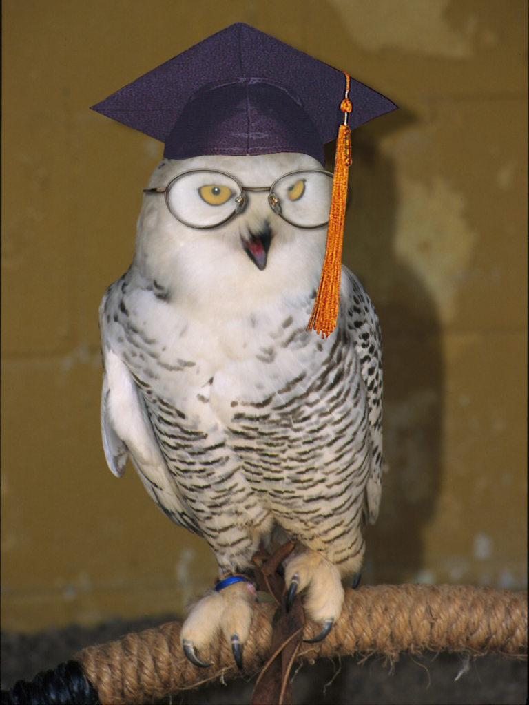 Photoshop Design by corwin1 for DesignCrowd (Community Contests) | Design #9087541