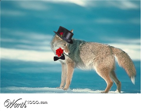 Photoshop Design by stormygrl427