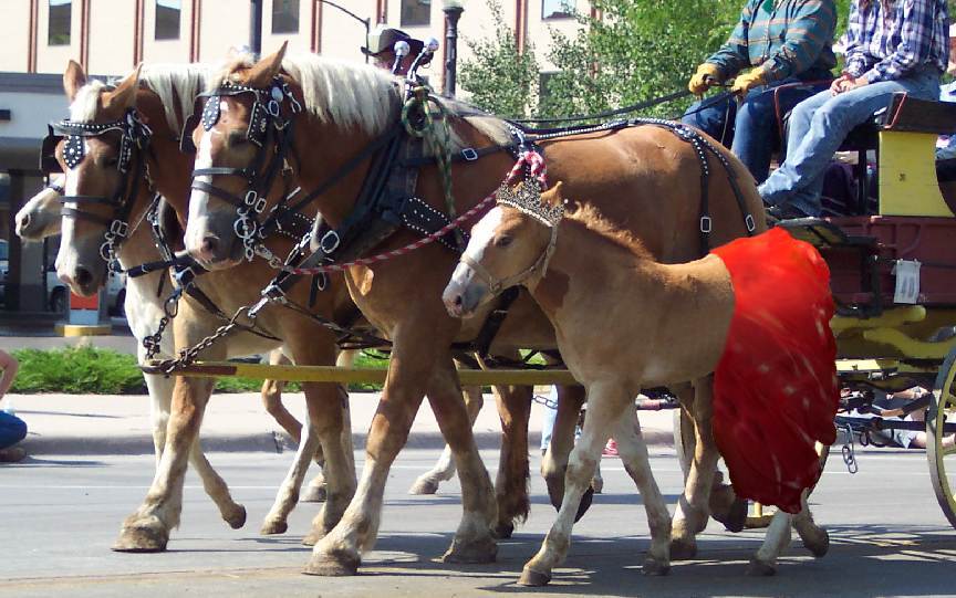 Photoshop Design by ChasingPuck for DesignCrowd (Community Contests) | Design #9087552