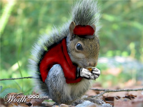 Photoshop Design by diversi0n