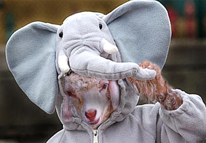 Photoshop Design by UPUPUP for DesignCrowd (Community Contests) | Design #9087534