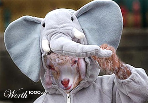 Photoshop Design by UPUPUP