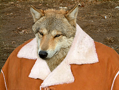 Design Photoshop par StrangeWorld pour DesignCrowd (Community Contests) | Design #9087606