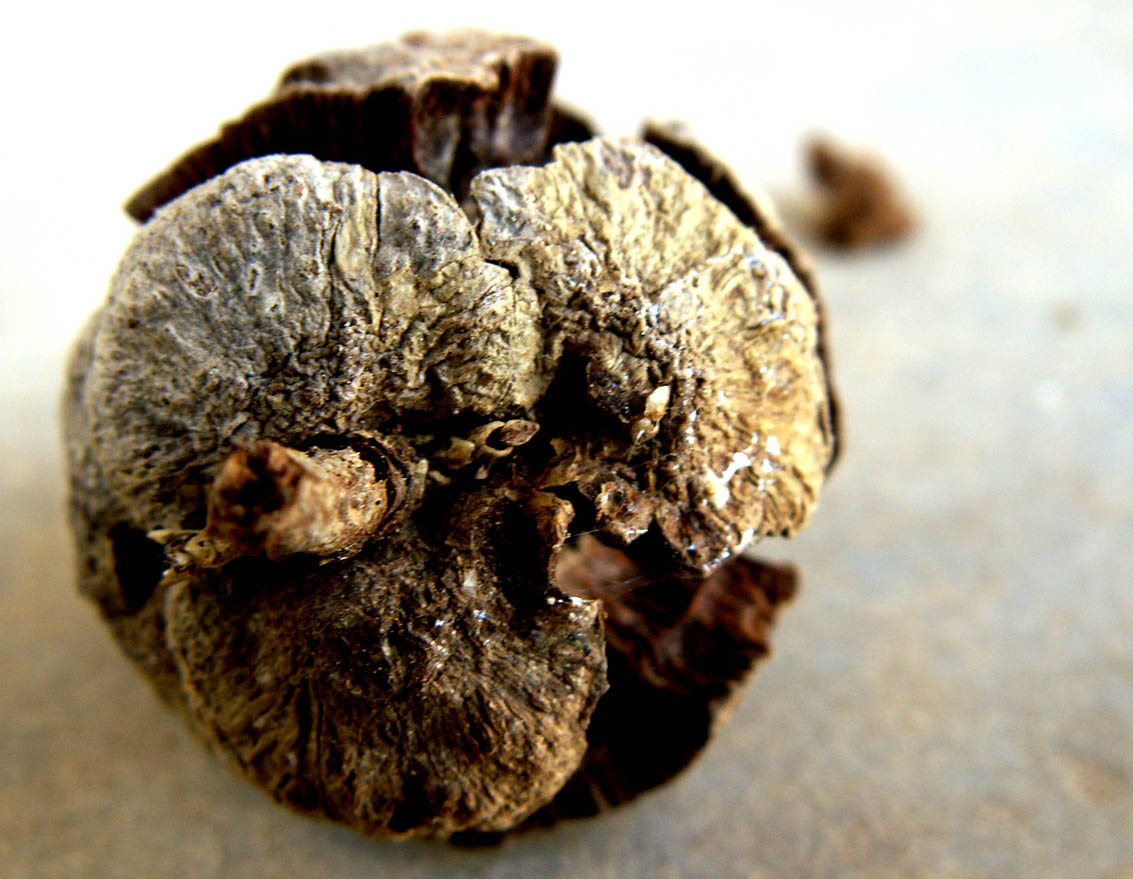 Photography by Ronbrandt for DesignCrowd (Community Contests) | Design #9087997