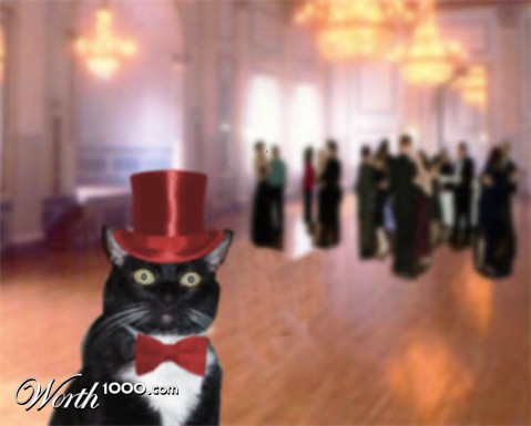 Photoshop Design by mrdbox