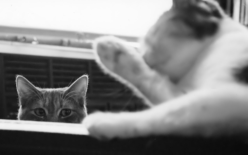 Photography by faeriefly__ for DesignCrowd (Community Contests) | Design #9087998