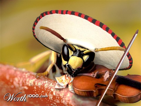 Photoshop Design by ariel9