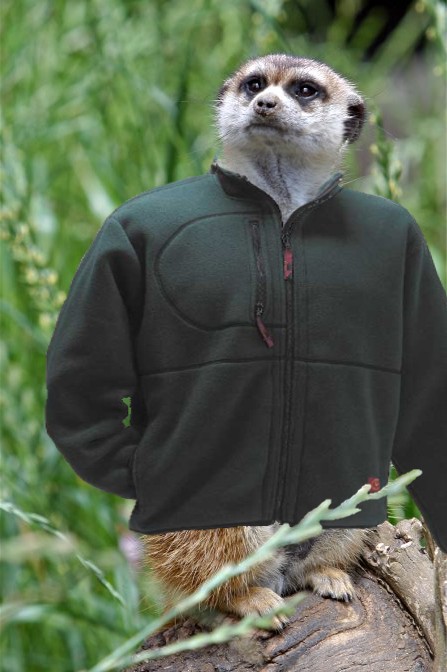 Photoshop Design by marcelreigersberg for DesignCrowd (Community Contests) | Design #9087672