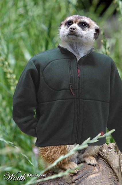 Photoshop Design by marcelreigersberg