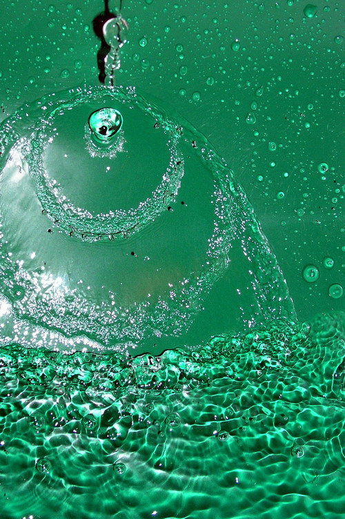 Photography by mzmzmzmz for DesignCrowd (Community Contests) | Design #9088198