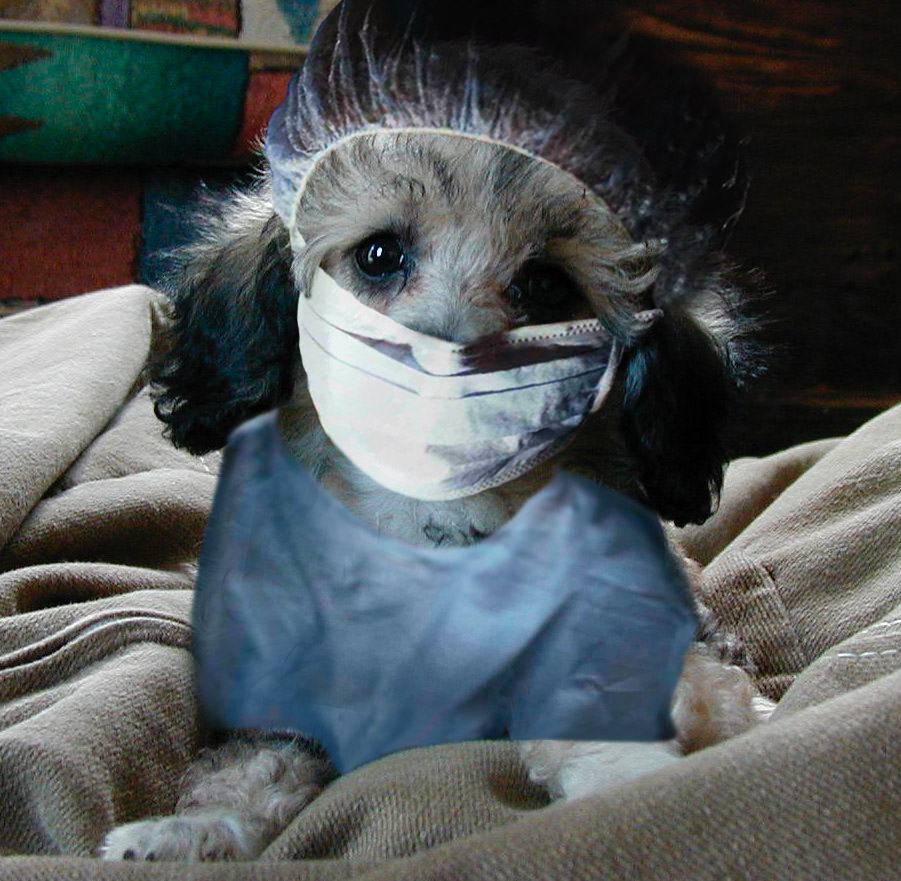 Photoshop Design by bingobaby for DesignCrowd (Community Contests) | Design #9087599