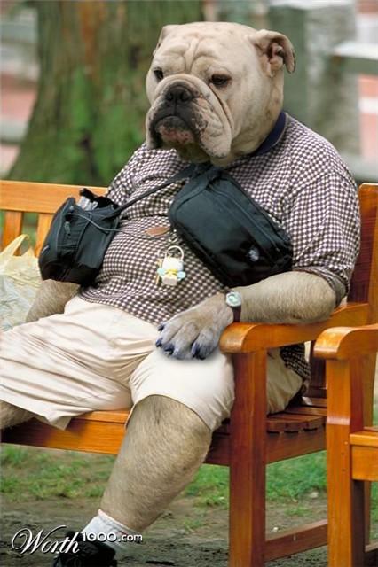 Photoshop Design by digammo