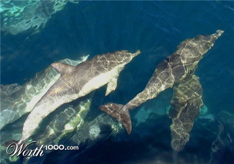 Photography by beckettboots