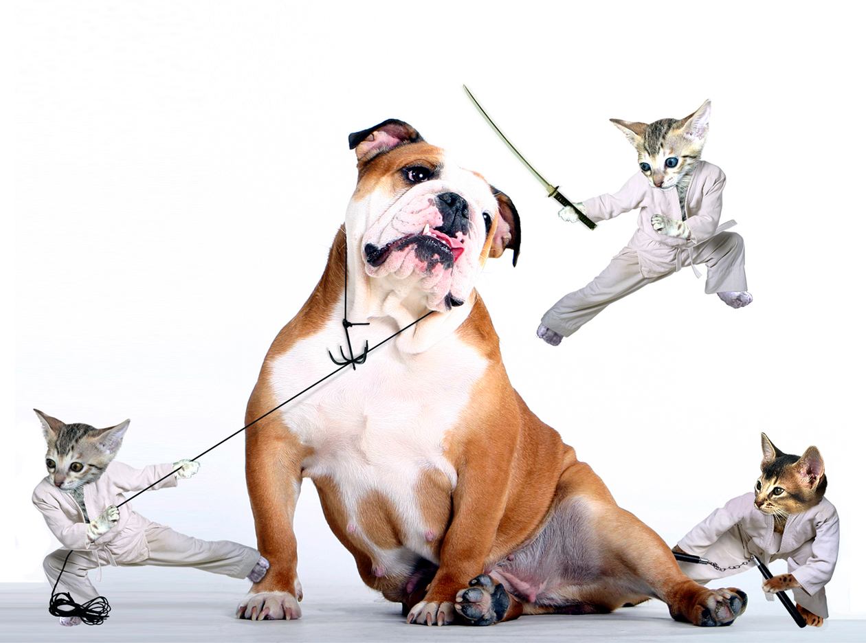 Photoshop-Design von a17rwk für DesignCrowd (Community Contests) | Design #9087580