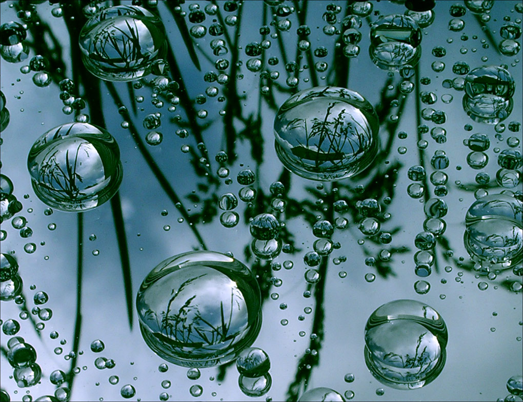 Photography by xakpeet for DesignCrowd (Community Contests) | Design #9088281