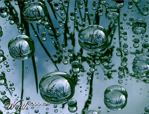 Photography by xakpeet