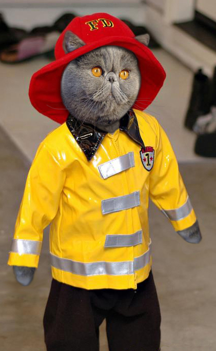 Diseño de Photoshop por treacle para DesignCrowd (Community Contests) | Diseño #9087525