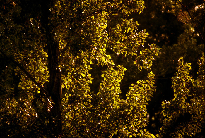 Fotografie von resquin für DesignCrowd (Community Contests) | Design #9064914