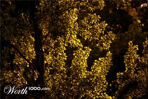 Photography by resquin