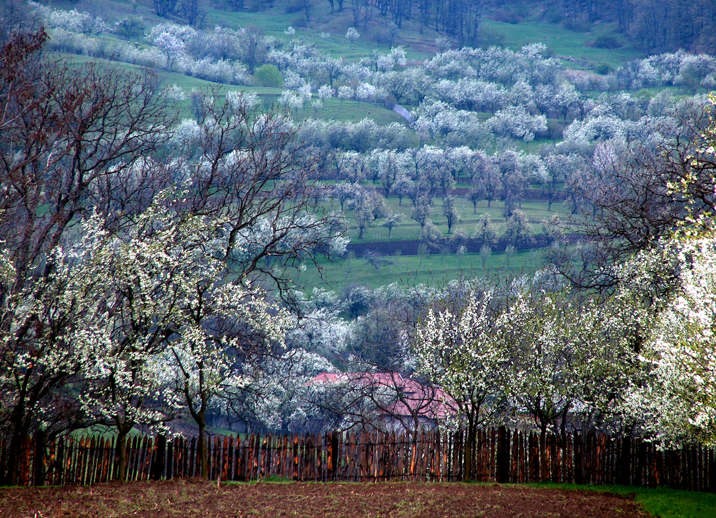 Fotografie von Xported für DesignCrowd (Community Contests) | Design #9088053